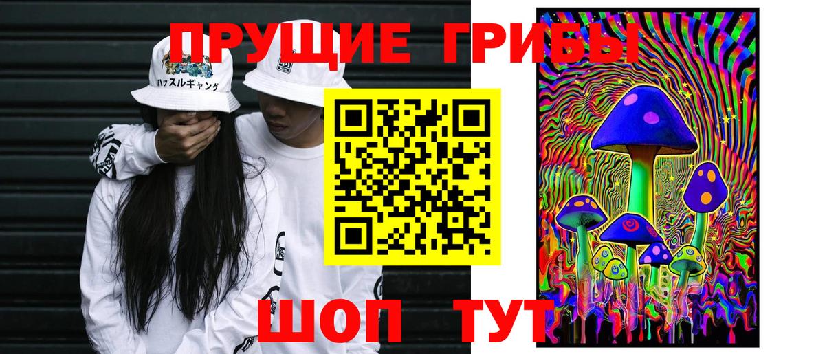 Псилоцибиновые грибы Psilocybe Саранск
